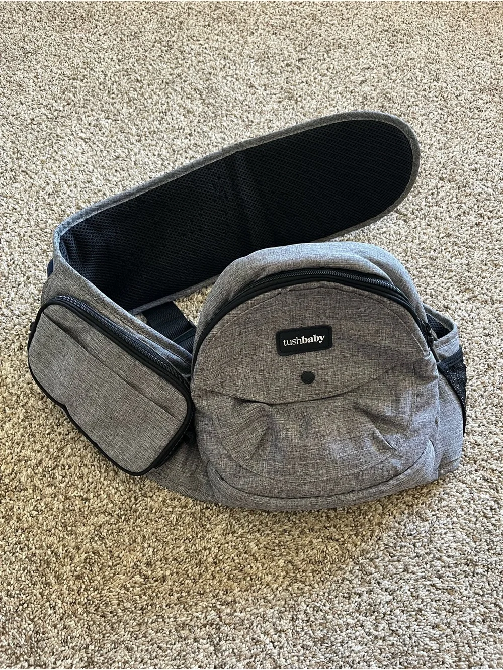 Gray Tushbaby